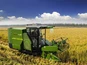 Czy można wypożyczyć duży kombajn do zbioru bawełny?